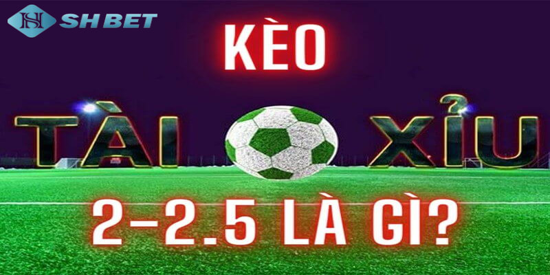 kèo 2.5 là gì Cách tính toán kèo 2.5 là gì?