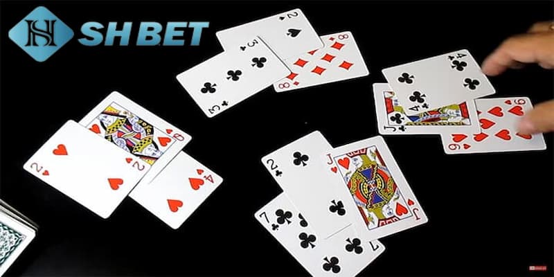 Giới thiệu sơ lược vài nét về bài cào