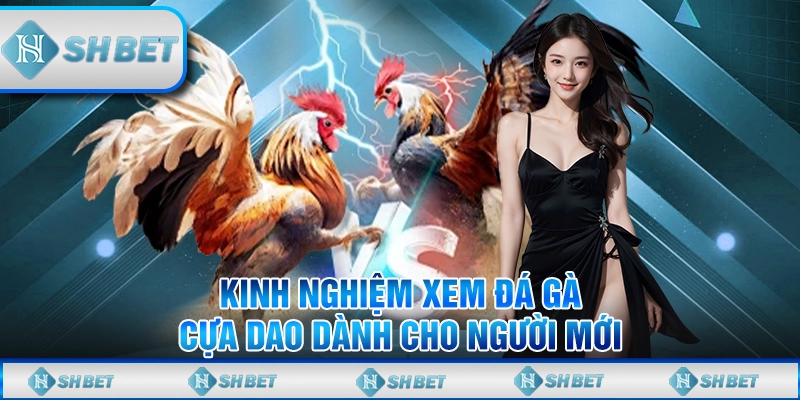đá gà cựa dao