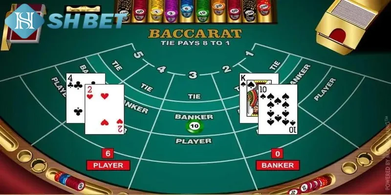 Các loại cầu baccarat phổ biến mà bạn nên biết