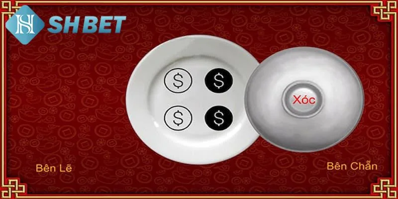 Các phương pháp đọc vị xóc đĩa hiệu quả