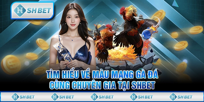 Tìm Hiểu Về Màu Mạng Gà Đá Cùng Chuyên Gia Tại SHBET