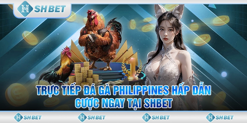 Trực Tiếp Đá Gà Philippines Hấp Dẫn - Cược Ngay Tại SHBET