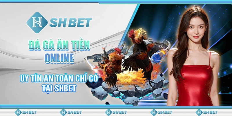 Đá Gà Ăn Tiền Online Uy Tín An Toàn Chỉ Có Tại SHBET