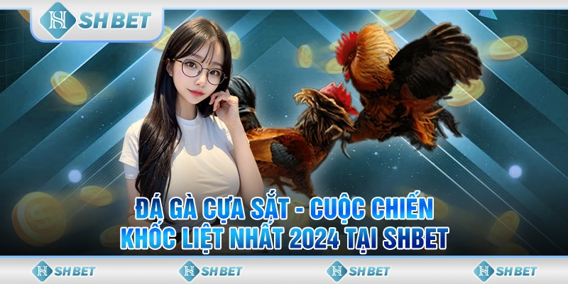 Đá Gà Cựa Sắt - Cuộc Chiến Khốc Liệt Nhất 2024 Tại SHBET