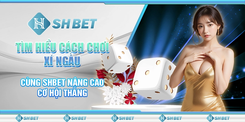 Tìm Hiểu Cách Chơi Xí Ngầu Cùng SHBET Nâng Cao Cơ Hội Thắng