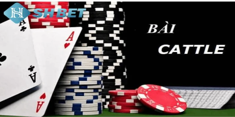Cách chơi bài Catte cơ bản