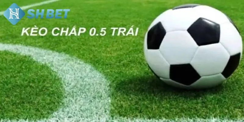 Cách phân tích kèo chấp 0.5 hiệu quả