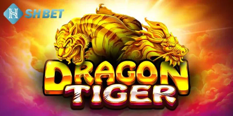 Chiến lược đánh rồng hổ từ cao thủ