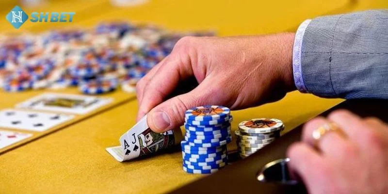 Giới thiệu về 3 cây tại SHBET
