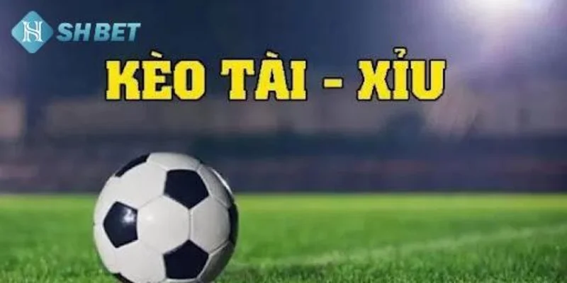 Giới thiệu về tài xỉu tại SHBET