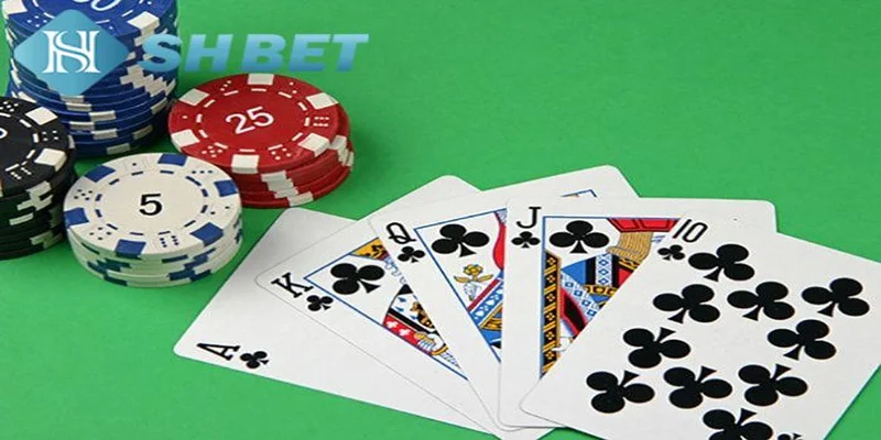 Giới thiệu về xì tố online tại SHBET