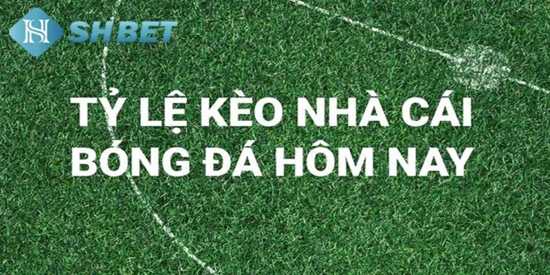 Tầm quan trọng của nhận định kèo nhà cái