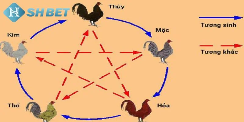 Tìm hiểu khái niệm cơ bản về màu mạng gà đá