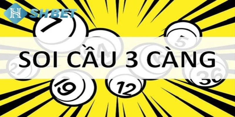 Tìm hiểu về đề 3 càng
