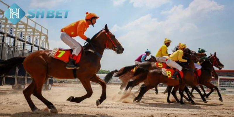 Tổng quan về cá cược đua ngựa tại SHBET