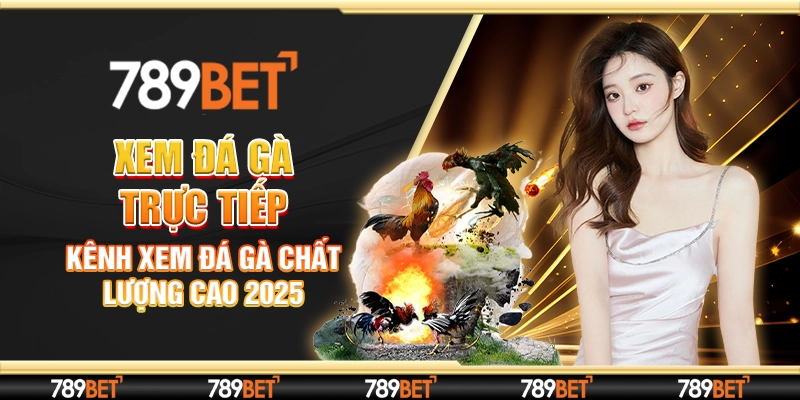Xem Đá Gà Trực Tiếp - Kênh Xem Đá Gà Chất Lượng Cao 2025