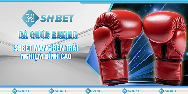 Cá Cược Boxing - SHBET Mang Đến Trải Nghiệm Đỉnh Cao