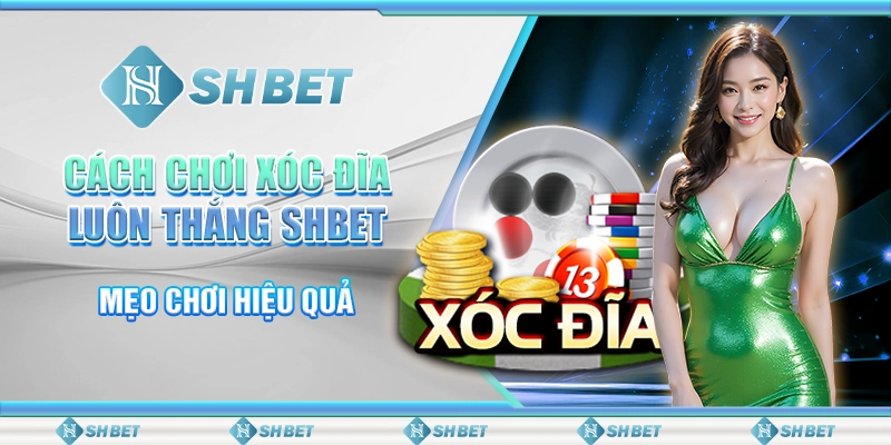 Cách Chơi Xóc Đĩa Luôn Thắng SHBET - Mẹo Chơi Hiệu Quả