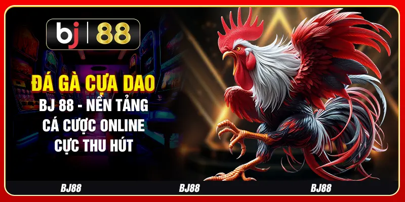 Đá Gà Cựa Dao BJ 88 - Nền Tảng Cá Cược Online Cực Thu Hút