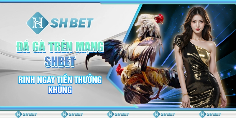 Đá Gà Trên Mạng SHBET - Rinh Ngay Tiền Thưởng Khủng