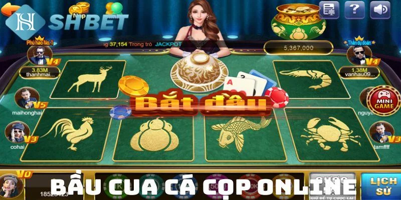 Những lưu ý khi chơi bầu cua cá cọp online