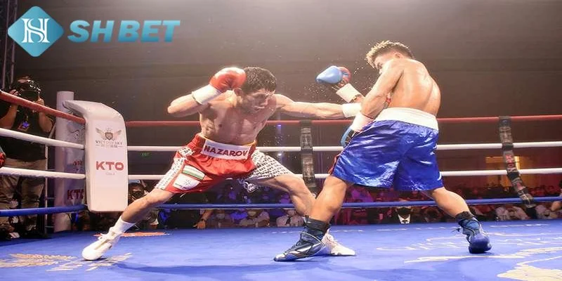 Những ưu điểm nổi bật khi chơi cá cược boxing tại SHBET
