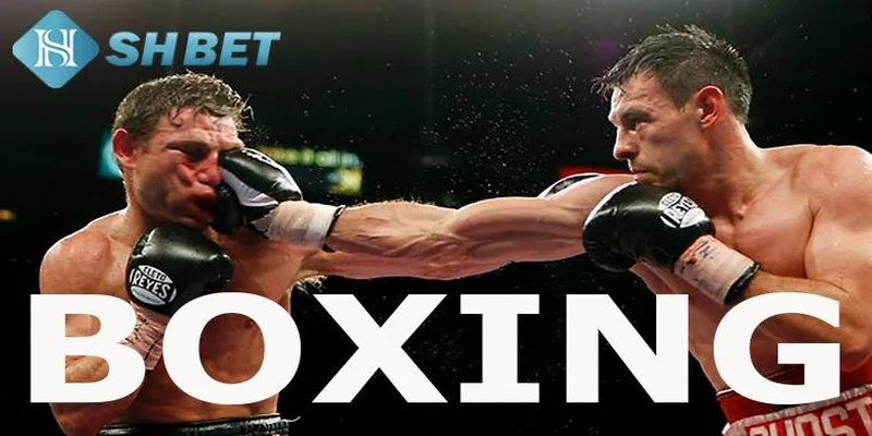 Tổng quan về cá cược boxing