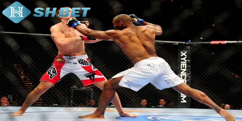 Hướng dẫn chơi cá cược boxing hiệu quả