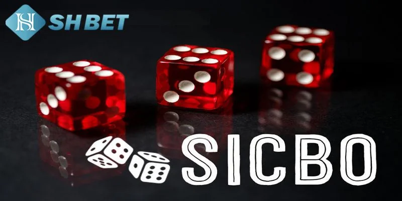 Bí quyết thắng lớn khi chơi Sicbo