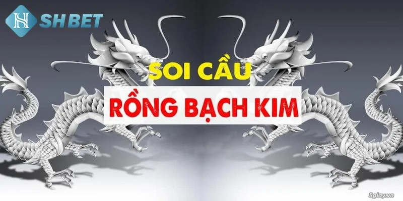 Bí quyết hiệu quả để soi cầu rồng bạch kim thành công