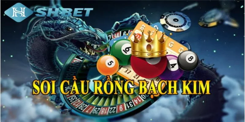 Tìm hiểu về soi cầu rồng bạch kim