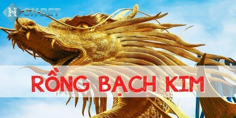 Lợi ích khi áp dụng soi cầu rồng bạch kim