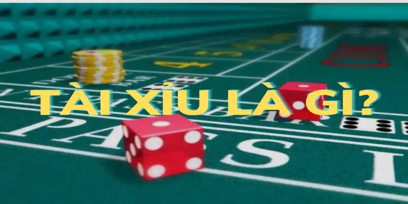 Những điều cần biết trước khi báo sâm