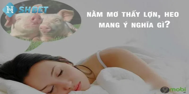 Những trường hợp đặc biệt khi mơ thấy con lợn