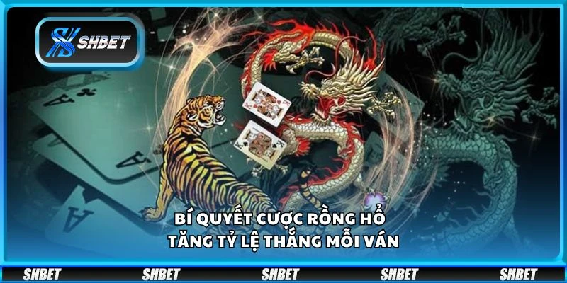 Bí quyết cược Rồng Hổ - Tăng tỷ lệ thắng mỗi ván