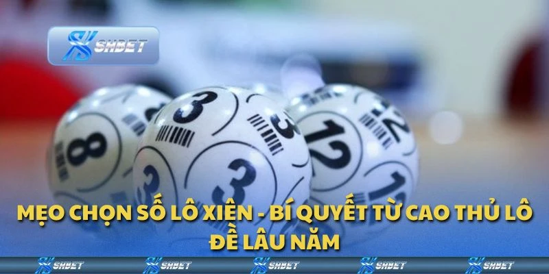 Mẹo chọn số lô xiên - Bí quyết từ cao thủ lô đề lâu năm
