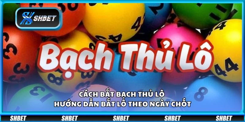 Cách bắt bạch thủ lô - Hướng dẫn bắt lô theo ngày chốt