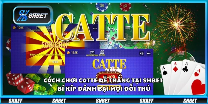 Cách chơi catte dễ thắng tại Shbet - Bí kíp đánh bại mọi đối thủ