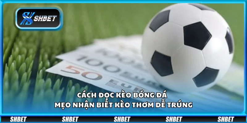 Cách đọc kèo bóng đá - Mẹo nhận biết kèo thơm dễ trúng