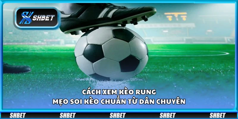 Cách xem kèo rung – Mẹo soi kèo chuẩn từ dân chuyên