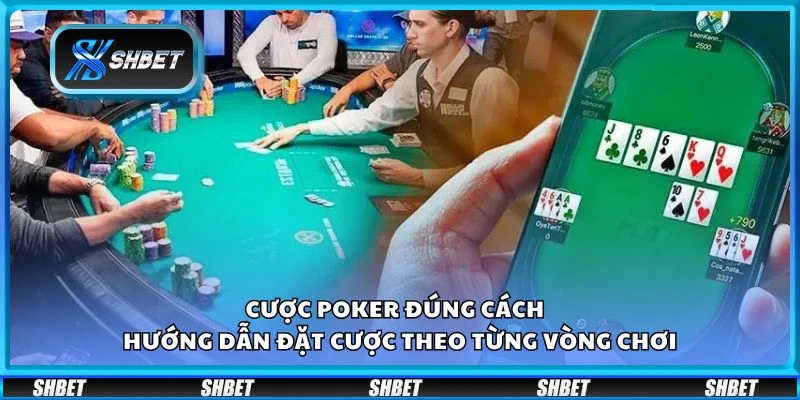 Cược Poker đúng cách - Hướng dẫn đặt cược theo từng vòng chơi