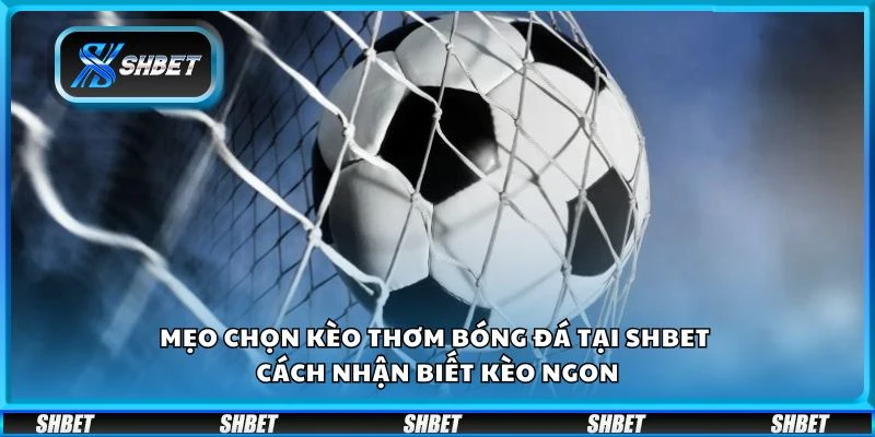 Mẹo chọn kèo thơm bóng đá tại shbet - Cách nhận biết kèo ngon
